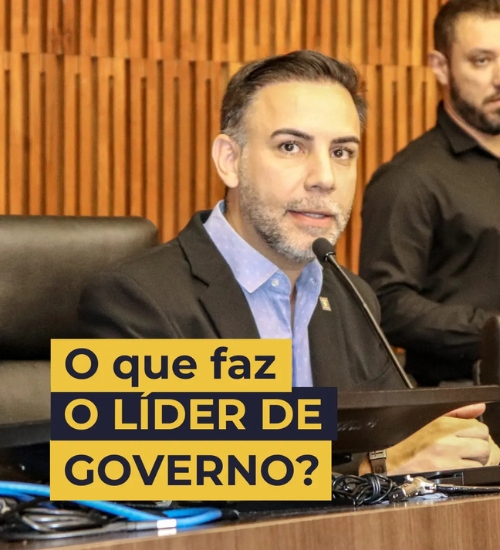 O que faz um Líder de Governo (cApriori2)